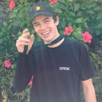 Tropical Hayes