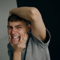 VLASIBR