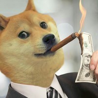 Dukeofdoge 