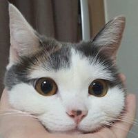 アレクセイ ラドフ