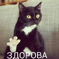 Кирилл Павленков