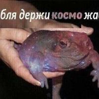 Makselon
