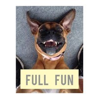 FULL FUN