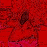 Polichoed