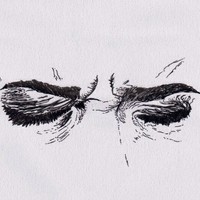 perfectEmpathy