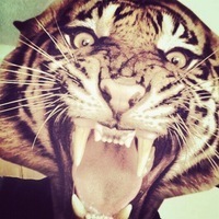 FearX13