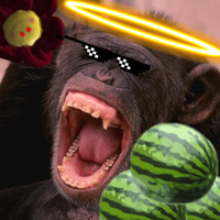 Funny Coub!