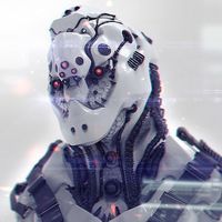Naykrus