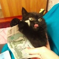 Кирилл Денисов