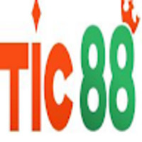 tic88 net