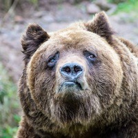 Серёжа Константинов