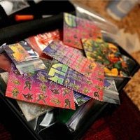 Psychedelics Paradise