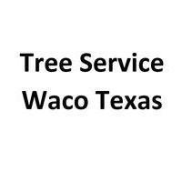 Tree Service Waco Texas