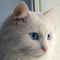 Джон Смит