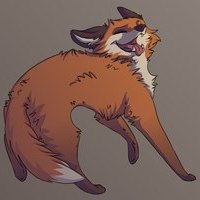 Small Angry Fox