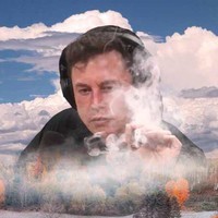 Цукат