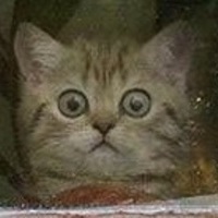 kykypy3ep
