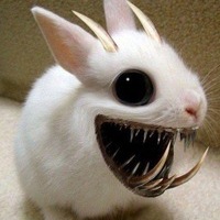 Слава Протасов