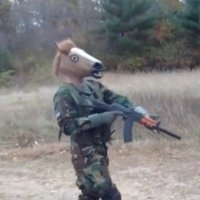 kalashnikov horse