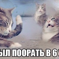 yeahrigth
