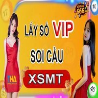 Soi cau MT