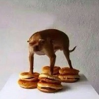 JAKOBDAJEWW