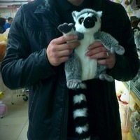 Dmitry Nechyosov
