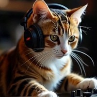 composer cat