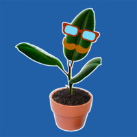 Doctor Ficus