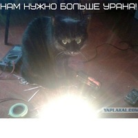 Антон Костиневич