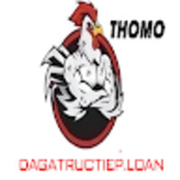 Đá Gà Trực Tiếp Loan