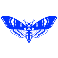 CYRUM