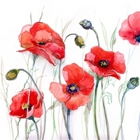 aaaa
