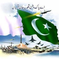 DildilPakistan Meri Jan