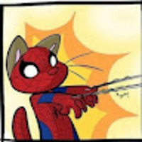 Spider Cat