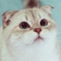 motulyok