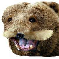 Владимир Аверин