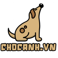 Cho Canh Vn