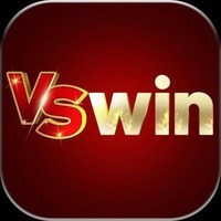 VSWIN