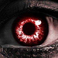 The Black Cynic