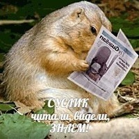 Алёна Суслик