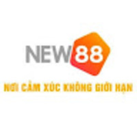 NEW88