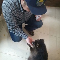 Владислав Тычок