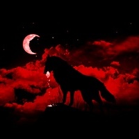 Bloody