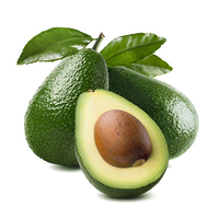 Avocado Trash