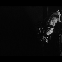 Dr. Bubópestis