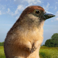 То, что нравится