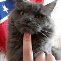 Анна 