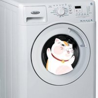 laundry girl