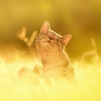 Вова Кострюков